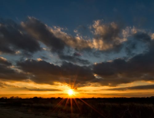 Saying Goodbye to 2012