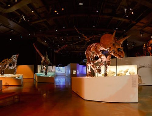 A Dinosaur Panorama