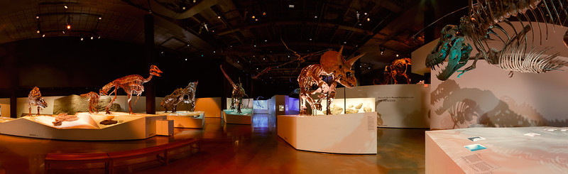 Dino Panorama