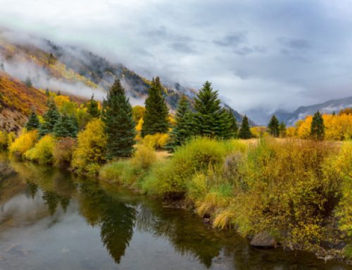Golden Valley