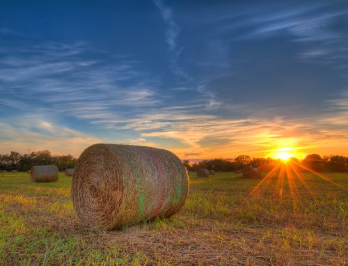 A Hay Bale Sunset