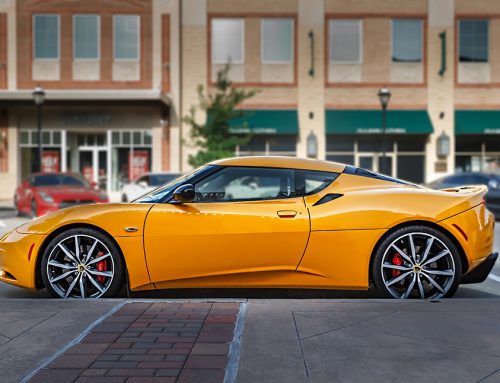 Yellow Lotus