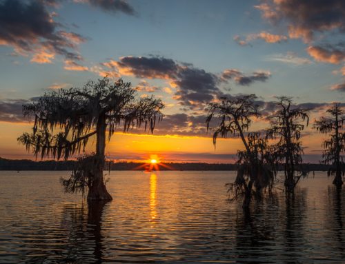 Twilight on Lake Martin Swamp