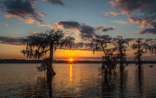 Twilight on Lake Martin Swamp