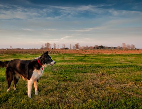 Misty’s First Photo Shoot