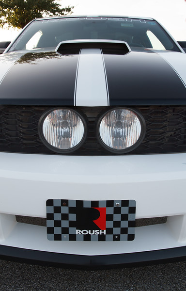 Hot Mustang