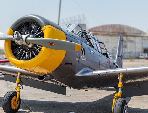 Yellow Valiant