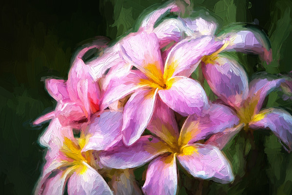 Park flower