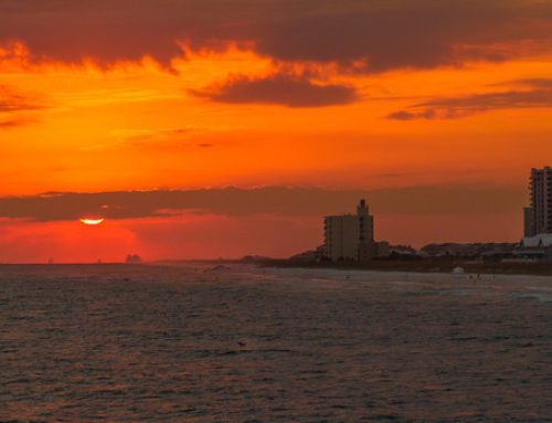 Shades of Orange