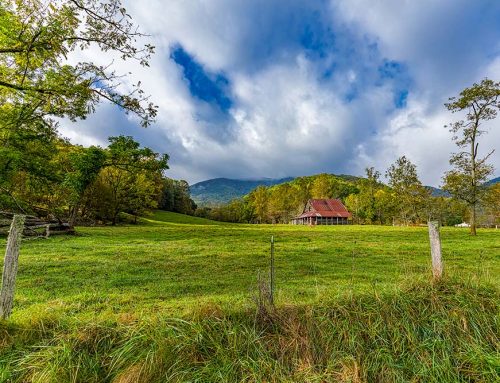 Barn in the Meadow