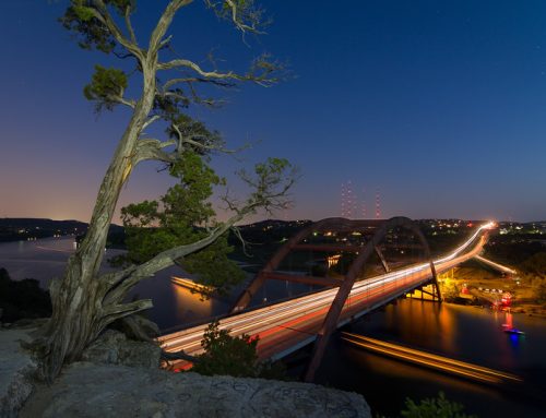 The Tree Over the Pennybacker Bridge
